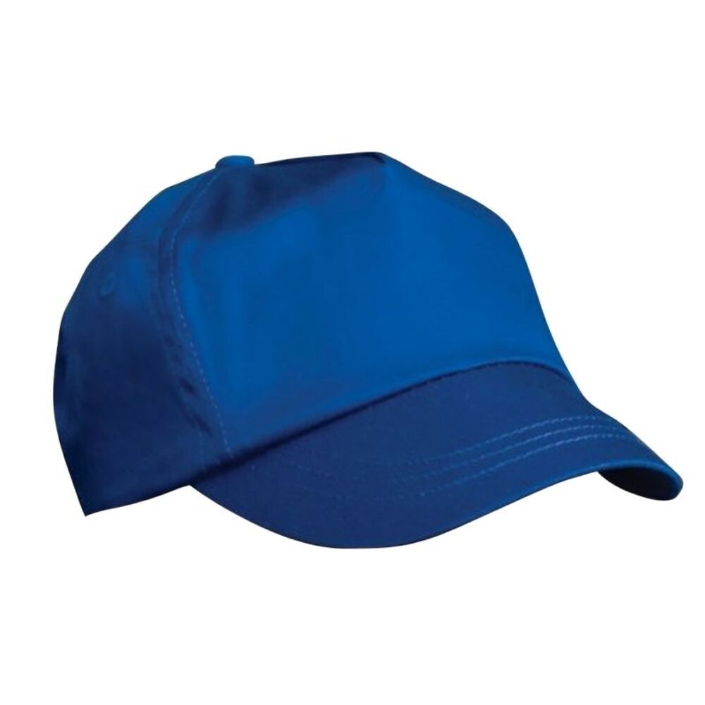 Result Childrens/Kids Big Boys Plain Basebll Cap (Pack of 2) / Royal